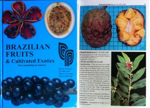 Brazilian Fruit & Cultivated Exotics: Cover on left, sample page on right. Notice the nifty blue grid the fruit is shot on.