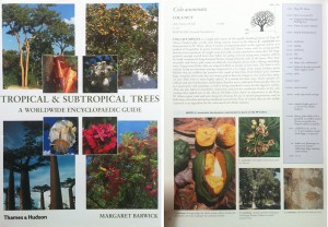 Tropical Trees: the cover and a sample page.