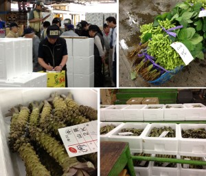 Vegetable auction at Tsukiji market. Notice the dudes with liscence plates on their heads. On the upper right  some beautiful edamame. On the bottom are diffeernt quality lots of wasabi root being auctioned.