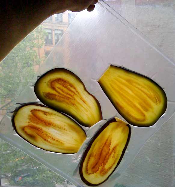 eggplant texture modified in a vacuum bag