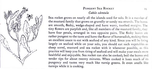 Euell Gibbons' Page on Wild Sea Rocket