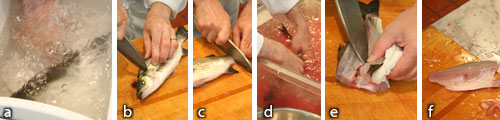 Fish 6 â€œCO2â€: a) ice water and gas with CO2; b) cut spine and vessels at head; c) cut spine and vessels at tail; d) bleed in ice water; e) fillet immediately; f) finished fillet