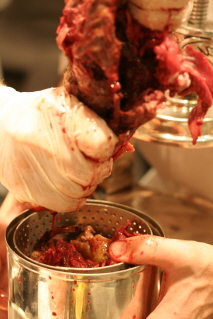 We filled pieces of duck into the container.  It was gory.