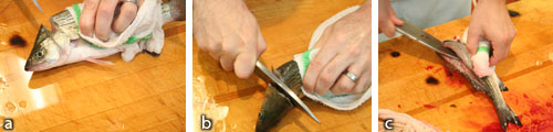 Fish 5 â€œImmediate Filletâ€: a) cut spine and vessels at head; b) remove head and gut; c) immediately fillet then rinse fillet in ice water