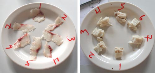 24 Hours. Left Raw: 1) Japanese Bled; 2) CO2; 3) Ike Jime; 4) Japanese Bled Filleted; 5) Immediate Fillet; 6) Stressed; 7) N2O. Right Cooked: 1) Japanese Bled Filleted; 2) Ike Jime; 3) Immediate Fillet; 4) Japanese Bled; 5) Stressed; 6) CO2; 7) N2O