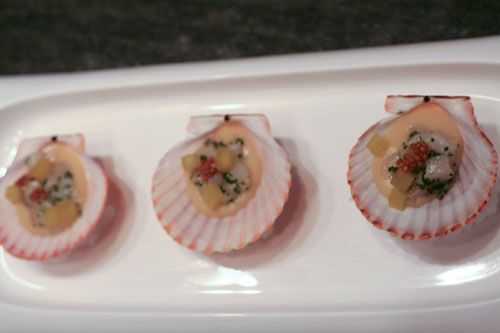 Scallops plated in shells on top of mounds of sea salt mixed with water.
