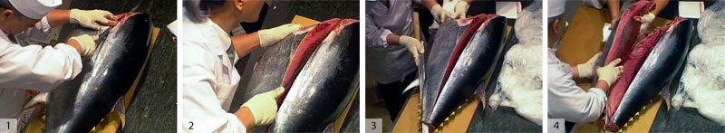 1) and 2) Make a cut along the side of the fish just below the spine all the way to the center. 3) and 4) Cut from back to front to slice off the lower quarter, called the belly cho (a cho is a quarter of the fish), then remove.