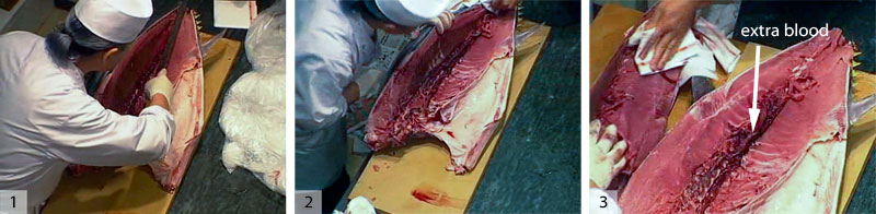 1) 2) and 3) Cut at an angle over the backbone then slice the top quarter (the back cho) off and remove. Note the blood spots in the meat. This is a result of the Kindai electro-slaughter technique. They should have used clove oil!