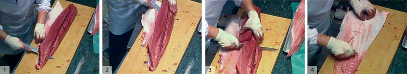 1) and 2) Cut the upper portion of the belly quarter free from the skin. This will be chutoro and akami. 3) Cut the meat in half. 4) Scrape the meat from the skin. This meat is fatty â€“good for rolls.