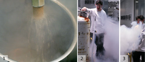 Liquid Nitrogen Container for kitchen