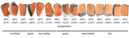 what temperature should i sous vide salmon