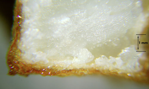 Magnified image of the interior and crust of the cold oil French fry.